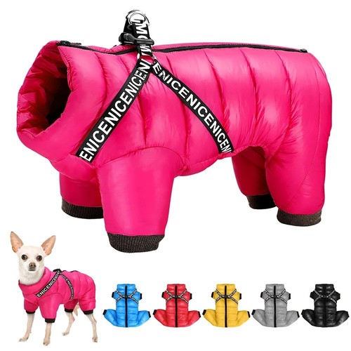 Winter dog jacket coat - dog,