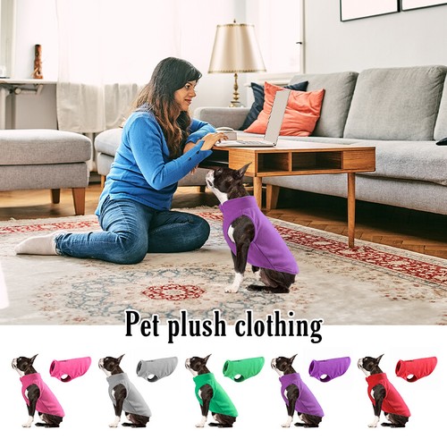 Pet clothes thickened solid - clothes,