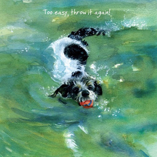 Rough coated jack russell - coated,