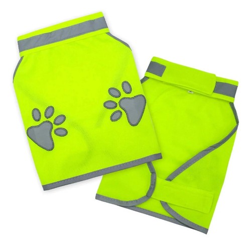 Jack russell terrier vis - terrier,