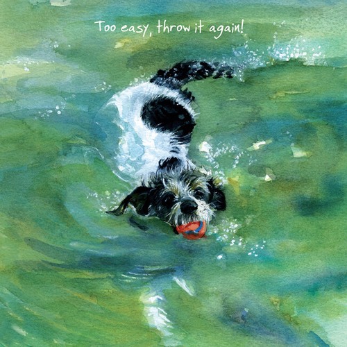 Rough coated jack russell - jack,