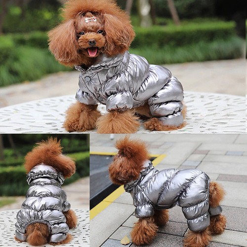 Waterproof jumpsuit dog - waterproof, puppy