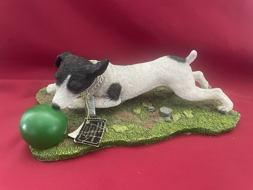 Black and white - jack, russell