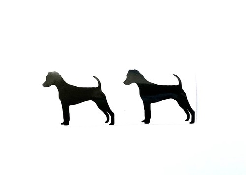 Parsons jack russell - parsons,