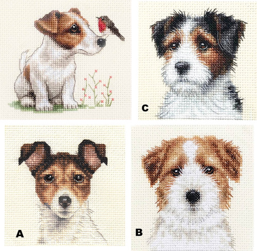 Jack russell terrier dogs - russell,