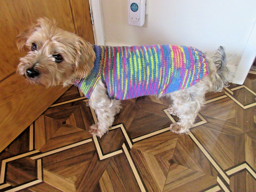 Dog coat sweater jumper hand - coat/sweater/jumper,