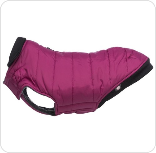 Trixie arlay dog - arlay,