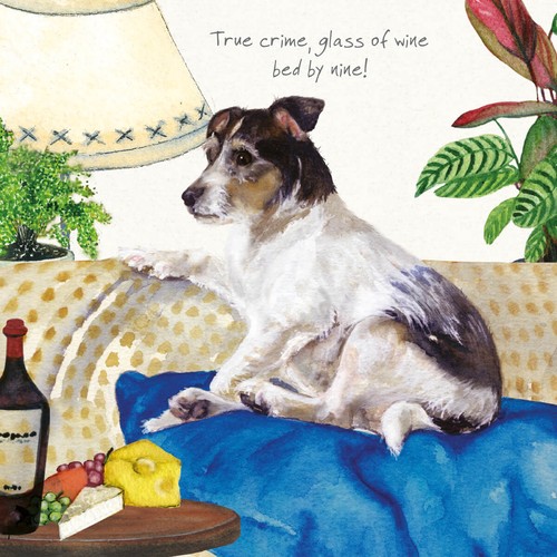 Rough coat jack russell - coat,
