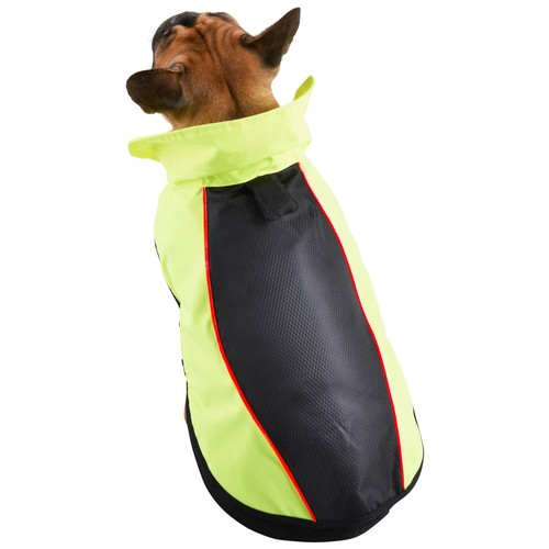 Led dog coat - led,