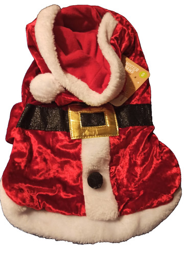 Pet dog santa - -, father