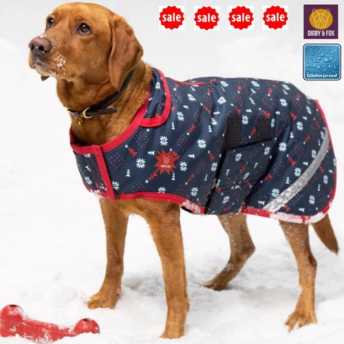 Waterproof dog coat - coat, &
