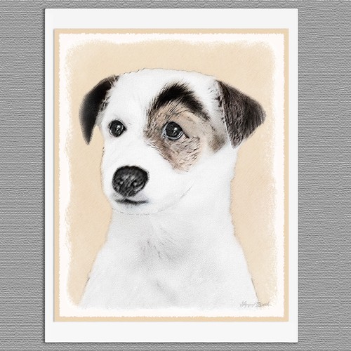 Parson jack russell terrier - russell,