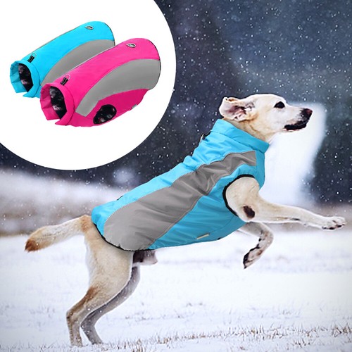 Dog coats waterproof - dog,
