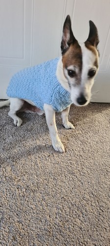 Hand knitted dog jumper - dog, blue