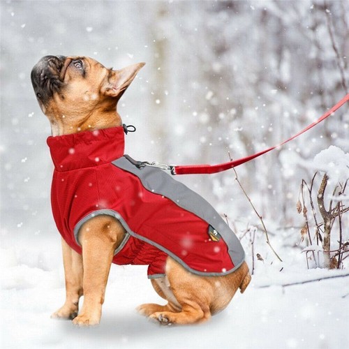 Waterproof dog coat winter - dog,
