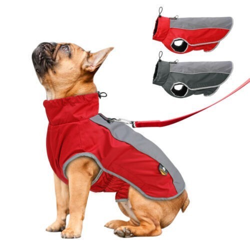 Waterproof dog coat - waterproof, winter