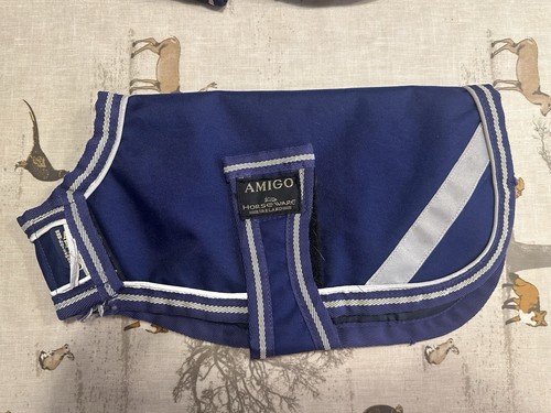 Amigo horsewear dog coat - horsewear,