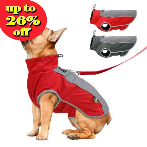 Waterproof dog coat - waterproof, winter