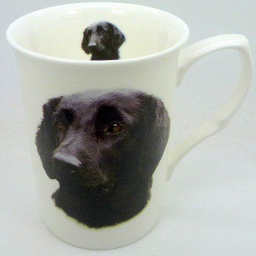 Dog fine bone china10 - bone, fl