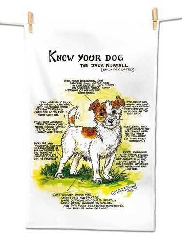 Jack russell tea - tea, towel